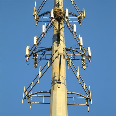 قیمت خودپذیر وای فای تلفن همراه بلند مدت پلت فرم کار مایکروویو آنتن فولاد برج مونوپول