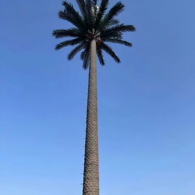 10 20 30 40 50 60 70 80 M گرم غوطه ور شده گالوانیزه شده پنهان شده قطب درختان نخل / کاج میکرو برج سلول های جعلی 10 20 30 40 50 60 70 80 M