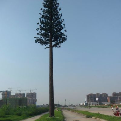 فولاد گالوانیزه یک لوله بیونیک پوشش 5g برج درخت نارگیل مخابرات درخت نخل درخت کاج