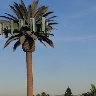 گالوانیزه GSM موبایل بایونیک درخت نخل آنتن برج تک قطب 5g برج پوشش