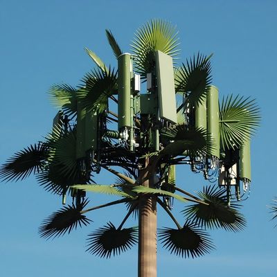 گالوانیزه GSM موبایل بایونیک درخت نخل آنتن برج تک قطب 5g برج پوشش