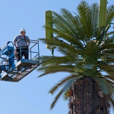 گالوانیزه GSM موبایل بایونیک درخت نخل آنتن برج تک قطب 5g برج پوشش