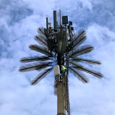 گالوانیزه GSM موبایل بایونیک درخت نخل آنتن برج تک قطب 5g برج پوشش