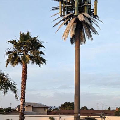 10 20 30 M درخت نخل درخت جعلی برج سلول مخابره مخابرات 5-80M