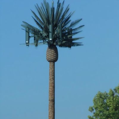 ارتباطات انحصاری پوشش تلفن همراه برج Bionic Pine Q345B/A572