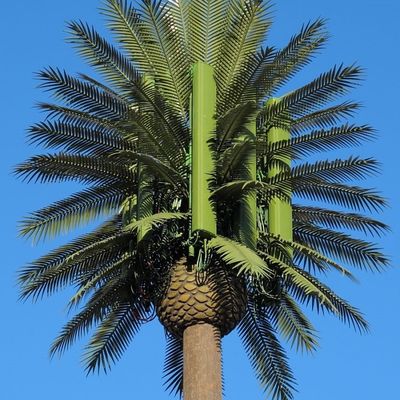 10 20 30 M درخت نخل درخت جعلی برج سلول مخابره مخابرات 5-80M