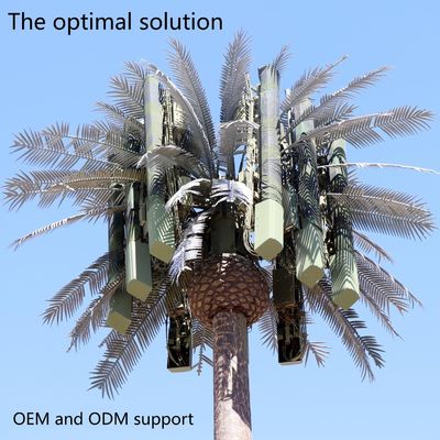 10 20 30 40 50 60 70 80 M گرم غوطه ور شده گالوانیزه شده پنهان شده قطب درختان نخل / کاج میکرو برج سلول های جعلی 10 20 30 40 50 60 70 80 M