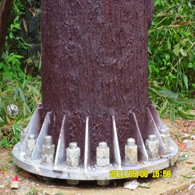 10 16 22 متری منطقه مسکونی Bionic Tree استتار فولاد گالوانیزه خود نگهدار در فضای باز 5G 4G برج مخابراتی Wifi