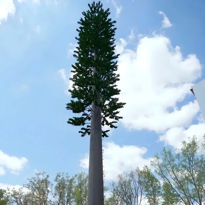 10 16 22 متری منطقه مسکونی Bionic Tree استتار فولاد گالوانیزه خود نگهدار در فضای باز 5G 4G برج مخابراتی Wifi