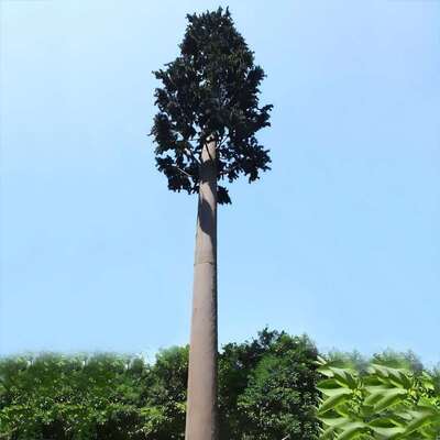 Bionic Tree Tower modular construction customizable height and species matching local flora for aesthetic infrastructure