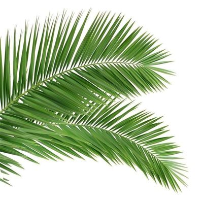 برج درخت بیونیک با ظاهر مانند درخت با شاخه ها و تنه های فیبرگلاس برای ترکیب یکپارچه منظره