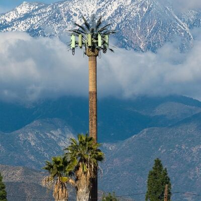 برج درخت بایونیک برج درخت مصنوعی با کدهای طراحی ANSI TIA 222 G H F و EN 1991 1 4 EN 1993 3 1 برای زیرساخت