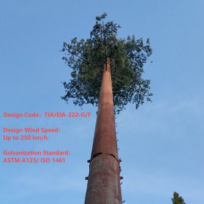برج درخت بیونیک مصنوعی با ANSI TIA 222 G H F و EN 1991 1 4 EN 1993 3 1 کد طراحی برای زیرساخت