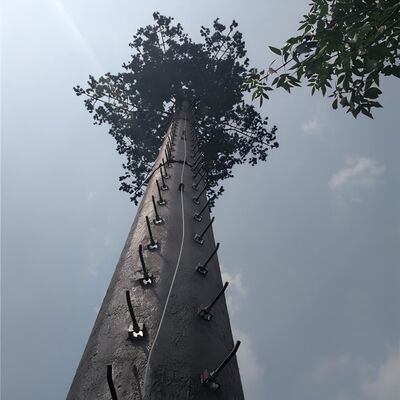 برج مخابراتی 18 27 35 متری نخل استتار شده برای منظره هتل توچال
