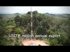 2.3 برج ارتباطات فولادی