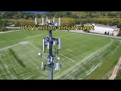 2. برج مونوپول