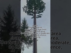 برج درخت بیونیک